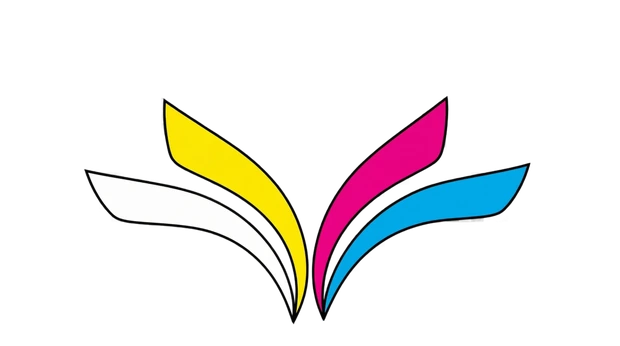 Aaqa Solutions